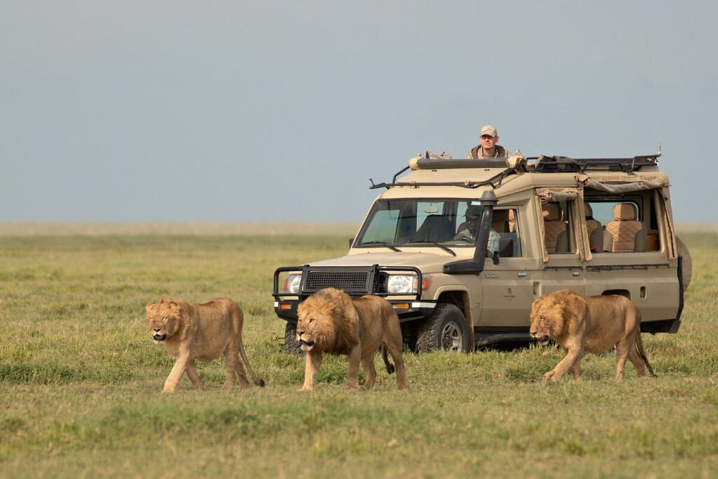 serengeti location